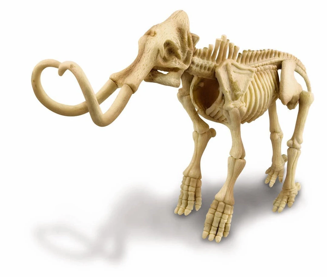 Johnco Dig-A-Mammoth Skeleton Kit | 4M Science STEM Toys 5 Johnco Dig-A-Mammoth Skeleton Kit | 4M Science STEM Toys