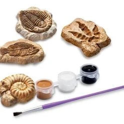 Johnco Science STEM Toys Glow Fossil Dinosaur Science Kit | 4M Kidz Lab