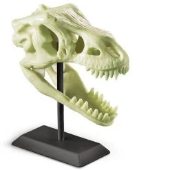 Johnco Science STEM Toys Glow Fossil Dinosaur Science Kit | 4M Kidz Lab