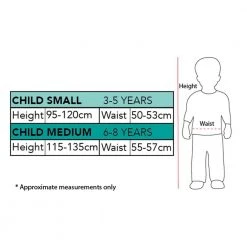 Rubies Deerfield Disney Frozen 2 Anna Premium Child Costume