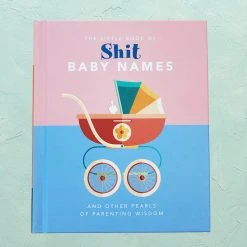 Brumby Sunstate The Little Book Of Sh#t Baby Names Gifts For BFFs