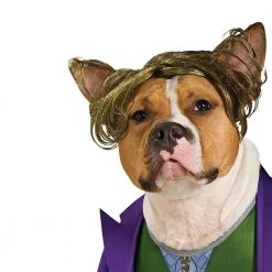 Rubies Deerfield DC Comics The Joker Pet Costume Comics & Superheroes