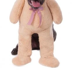 Rubies Deerfield Novelty Walking Teddy Bear Big Dogs Pet Costume