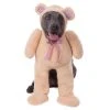 Rubies Deerfield Novelty Walking Teddy Bear Big Dogs Pet Costume 1 Rubies Deerfield Novelty Walking Teddy Bear Big Dogs Pet Costume