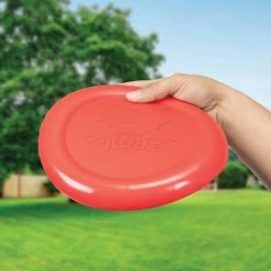 IsAlbi Bacon Scented Frisbee