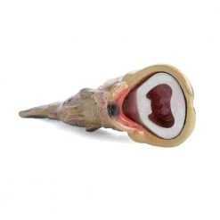 Mdi Bass Bottle Opener New