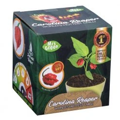 Heebiejeebies Carolina Reaper Worlds Hottest Chilli All-In-One Grow Kit