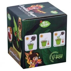 Heebiejeebies Carolina Reaper Worlds Hottest Chilli All-In-One Grow Kit