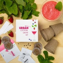 Steady Sticks Urban Greens Herb Grow Kits