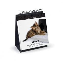 IsAlbi Daily Cattitudes | Desktop Flip Book New