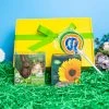 Yellow Octopus Exclusives - Hampers New Easter Garden Gift Hamper 2 Yellow Octopus Exclusives - Hampers New Easter Garden Gift Hamper
