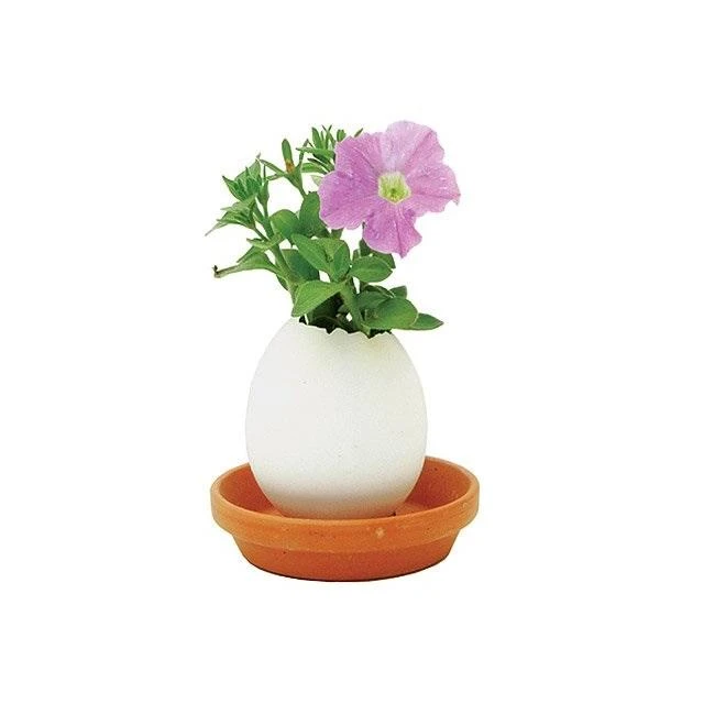 Outliving Eggling Crack & Grow Planter Kit With Tray Sports And Outdoors 6 Outliving Eggling Crack & Grow Planter Kit With Tray Sports And Outdoors