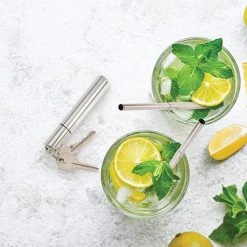 IsAlbi Extendable Straw With Case Keyring & Cleaning Brush Travel Gifts