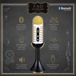 Outliving Gifts For Sisters Bluetooth Rechargeable Wireless Vintage Microphone | F.A.O Schwarz