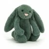 IsAlbi Gifts For BFFs Jellycat Bashful Forest Bunny | 2 Sizes!
