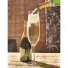 Outliving Giant Products Oversized Champagne Glass - Holds An Entire Bottle!