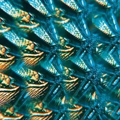 IsAlbi Novelty Gifts For Her Smartphone Clip-on Camera Kaleidoscope