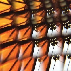 IsAlbi Novelty Gifts For Her Smartphone Clip-on Camera Kaleidoscope