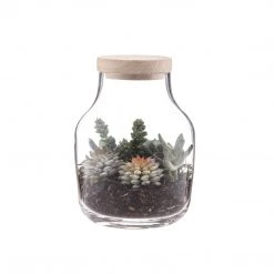 IsAlbi Succulent Garden-Monica Vase New