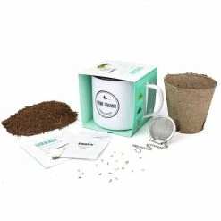 Steady Sticks Gifts For Sisters Grow Your Own Herbal Tea Kits | Urban Greens