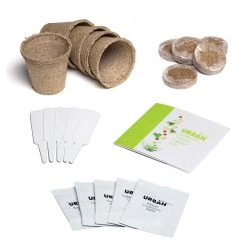 Steady Sticks Summer Salad Grow Kit