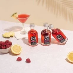 Hot Shots NY Cocktail Vodka Samplers New