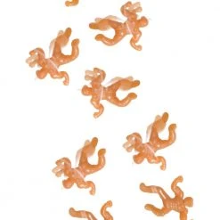 William Valentine New Wally Crawly Wrestlers