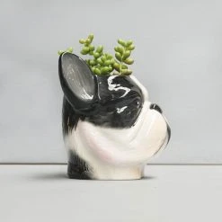 Ceramic Frenchie Planter Pot | White Moose 9 Ceramic Frenchie Planter Pot | White Moose
