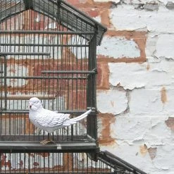 White Budgie With Gold Details | White Moose Office Gifts