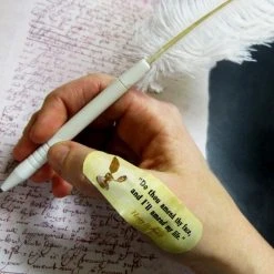 William Valentine Man Cave Gifts Shakespearean Insult Adhesive Bandages