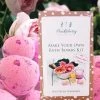 Huckleberry Make Your Own Bath Bombs - Rose Petal Or Water Lily Gifts For Sisters