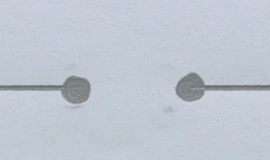 IWorld Australia Circuit Scribe Conductive Ink Pen Basic Kit Science STEM Toys 18 IWorld Australia Circuit Scribe Conductive Ink Pen Basic Kit Science STEM Toys