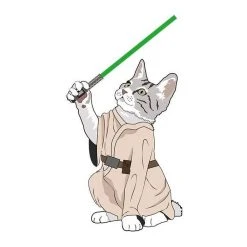 Curated Crazy Cat Chaos Card Game