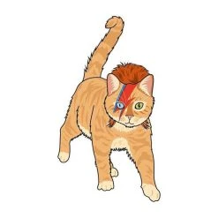 Curated Crazy Cat Chaos Card Game