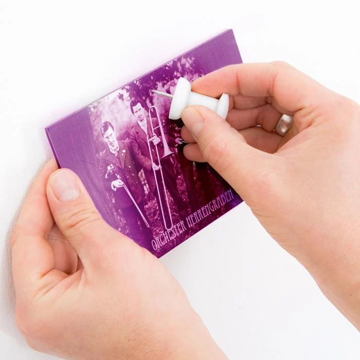 UNTIL Giant Products Think Big Giant Push Pins 6 UNTIL Giant Products Think Big Giant Push Pins