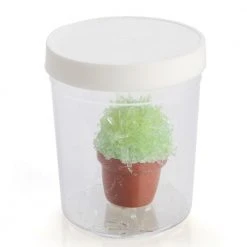 MDI Magical Crystal Cactus Grow Kit