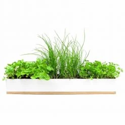 Steady Sticks Micro Herbs Window Sill Planter Box Grow Kit