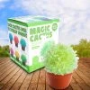 MDI Magical Crystal Cactus Grow Kit