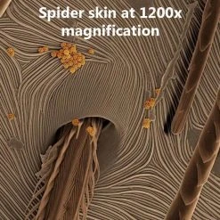 Heebiejeebies 30-Piece Microscope Set With 1200x Magnification! Science STEM Toys