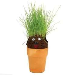 Heebiejeebies Sports And Outdoors Magic Pot Head Plant