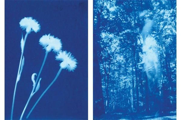 Heebiejeebies Sunprint - Sun Sensitive Art Paper: Create Beautiful Shadow Prints 4 Heebiejeebies Sunprint - Sun Sensitive Art Paper: Create Beautiful Shadow Prints