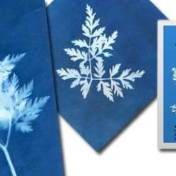 Heebiejeebies Sunprint - Sun Sensitive Art Paper: Create Beautiful Shadow Prints 8 Heebiejeebies Sunprint - Sun Sensitive Art Paper: Create Beautiful Shadow Prints