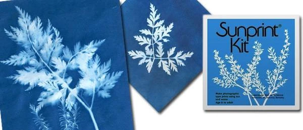 Heebiejeebies Sunprint - Sun Sensitive Art Paper: Create Beautiful Shadow Prints 5 Heebiejeebies Sunprint - Sun Sensitive Art Paper: Create Beautiful Shadow Prints