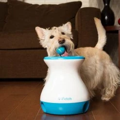 Eureka Pet Solutions Science STEM Toys IFetch Frenzy Interactive Pet Toy