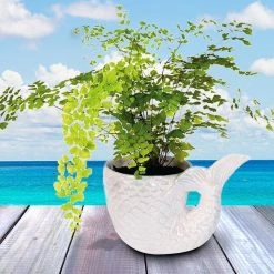 IsAlbi Pearlescent Mermaid Tail Plant Pot Sports And Outdoors