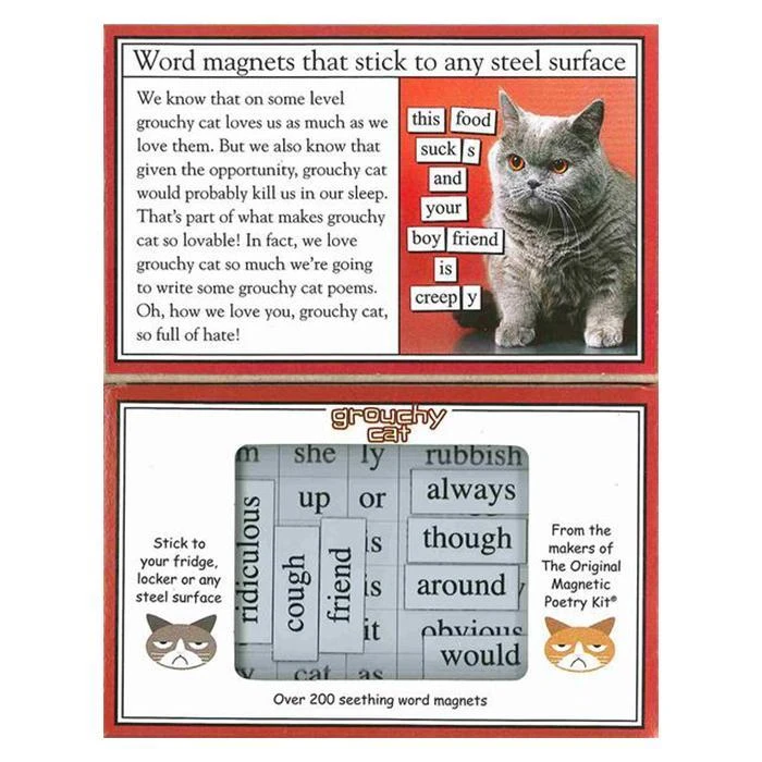 IsAlbi Science STEM Toys Grouchy Cat Fridge Magnet Poetry Kit 4 IsAlbi Science STEM Toys Grouchy Cat Fridge Magnet Poetry Kit