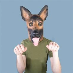 Mdi Dinosaurs Fancy Dress Costume Party Masks - 9 Styles!