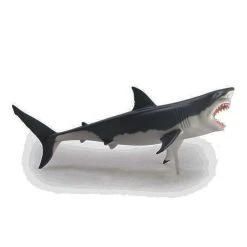 Mdi Science STEM Toys Great White Shark 4D Anatomy Model 16 Mdi Science STEM Toys Great White Shark 4D Anatomy Model