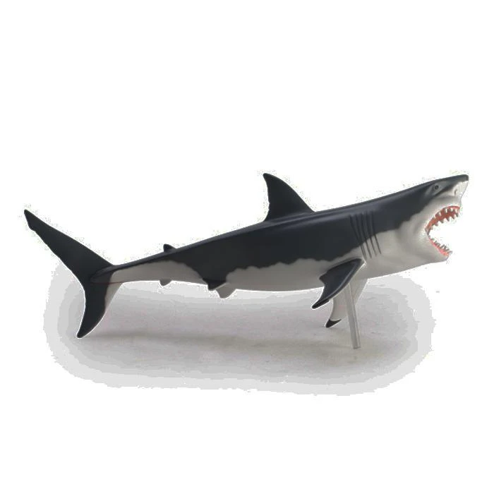 Mdi Science STEM Toys Great White Shark 4D Anatomy Model 8 Mdi Science STEM Toys Great White Shark 4D Anatomy Model