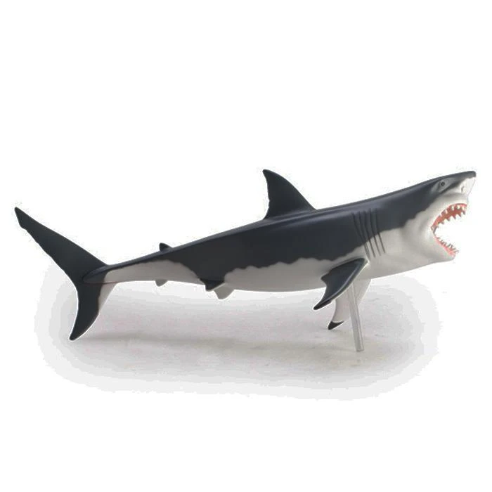 Mdi Science STEM Toys Great White Shark 4D Anatomy Model 10 Mdi Science STEM Toys Great White Shark 4D Anatomy Model